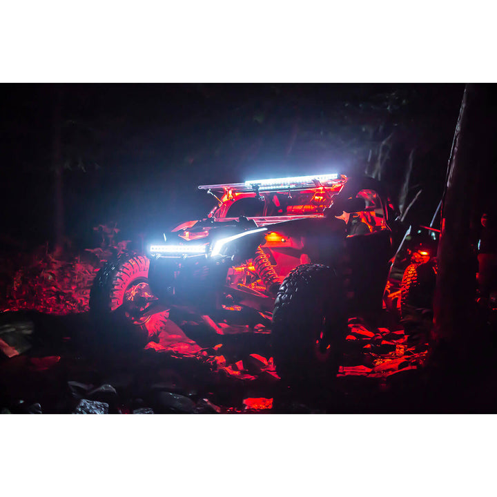 Kit de 4 luces LED XP para rocas